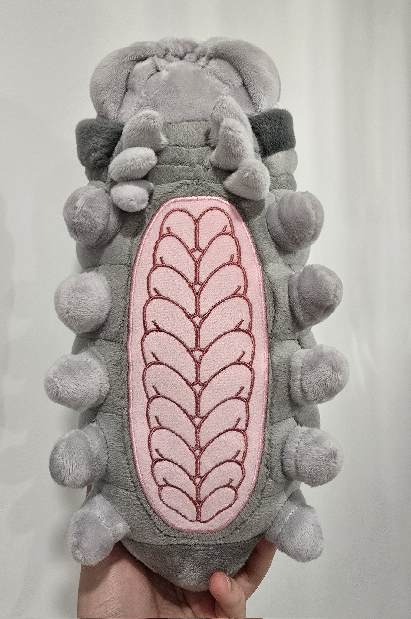 trhfLI