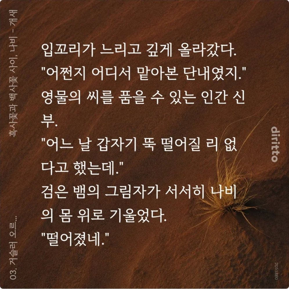 ttdYky