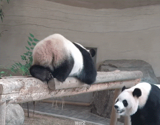 tuGngY.gif