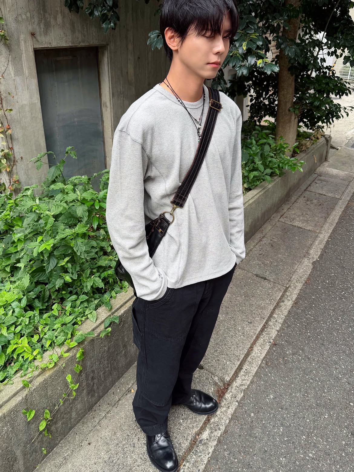 tvsNTs