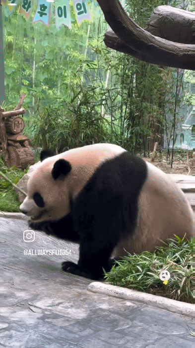 twBLuA.gif