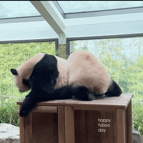 tzcMgo.gif