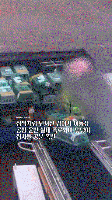 uAgJFt.gif