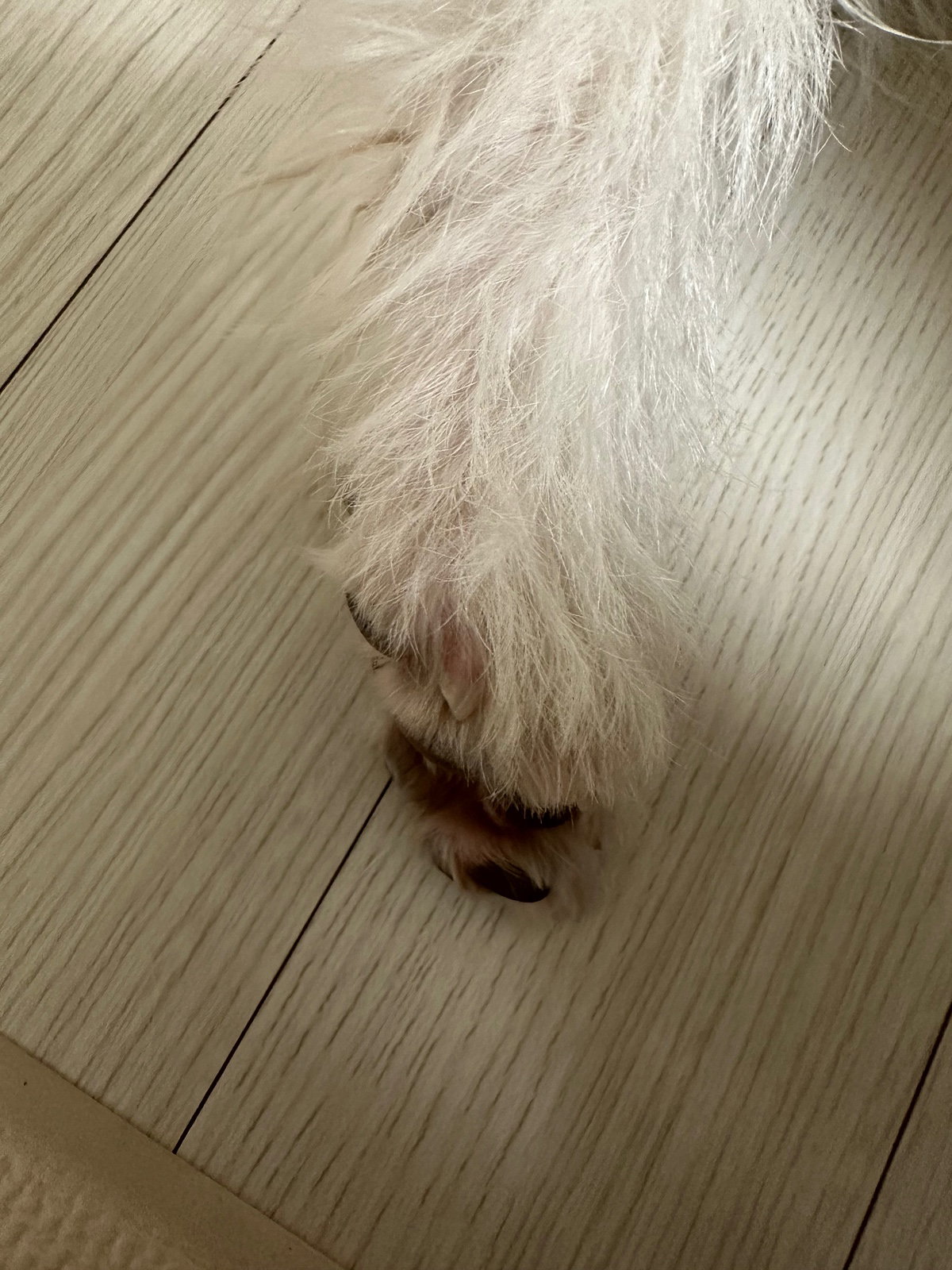 uCVZuy