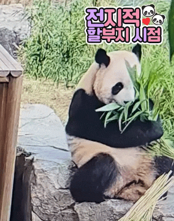 uCluVr.gif