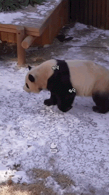 uDFWYV.gif