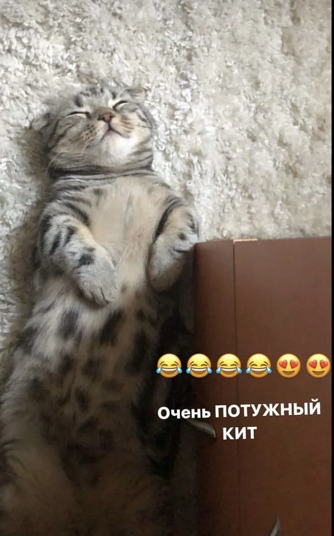 uDdQjC