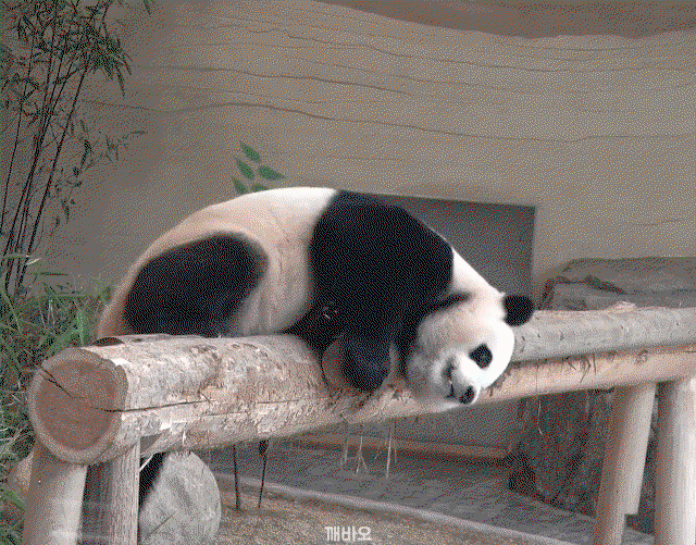 uGEZZG.gif