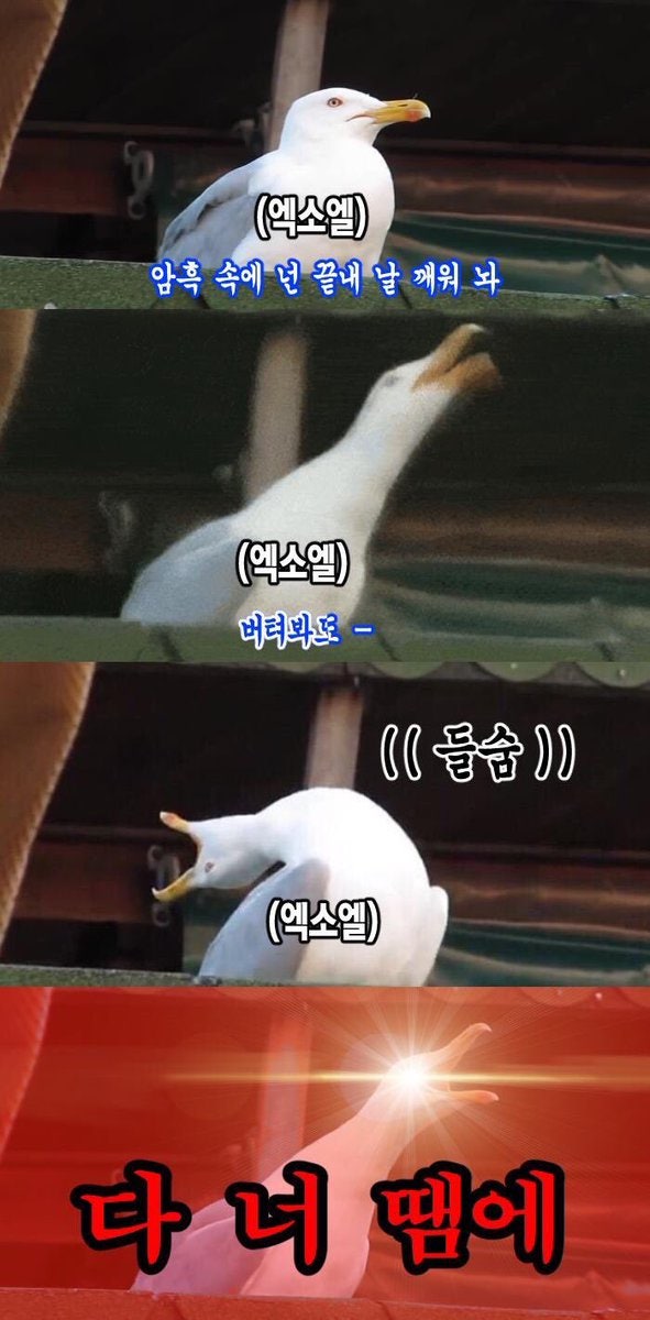 uHCkEJ