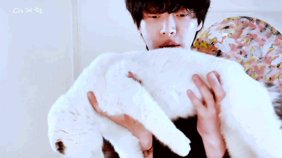 uMkQZZ.gif