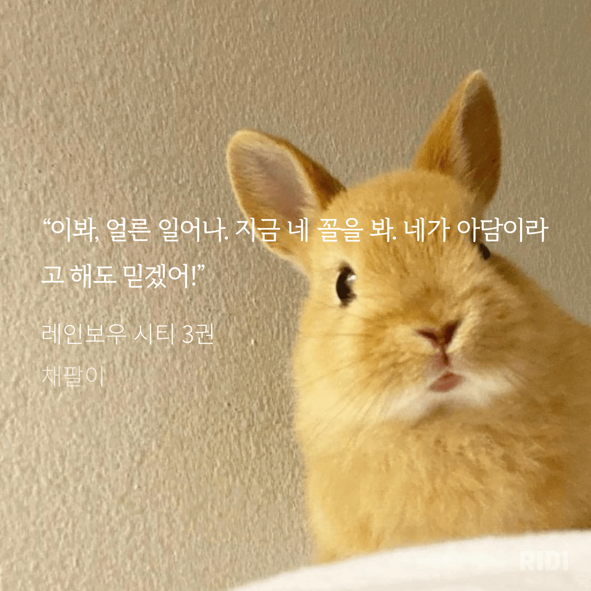uPYnrC