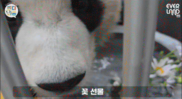 uQkUsC.gif