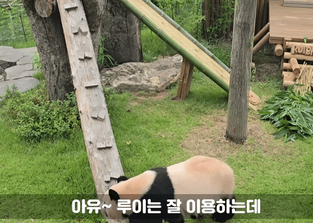 uQkVBA.gif