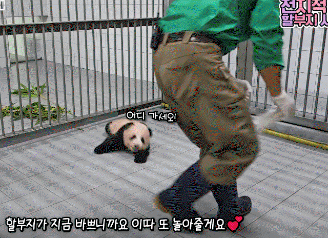 uTVSYC.gif