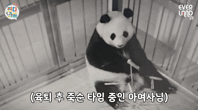 uZDcJL.gif