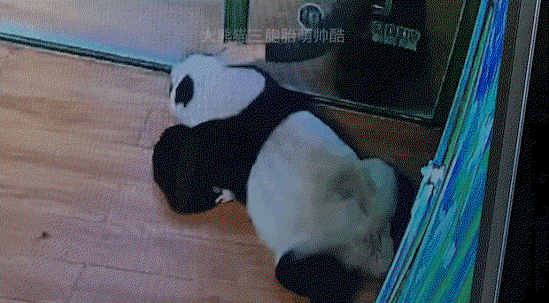 uZsKnA.gif