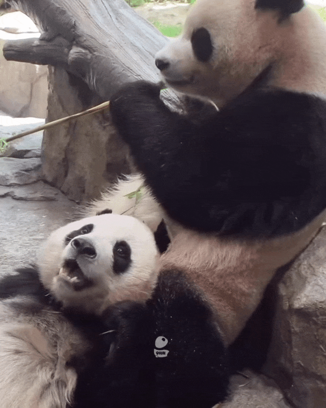 uZuStA.gif