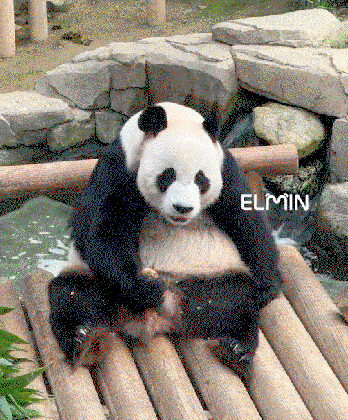 uaINFa.gif