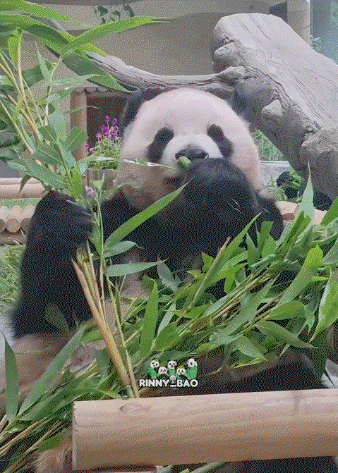 uaKkDI.gif