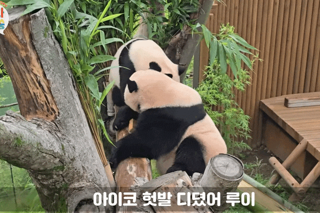 ublIVZ.gif