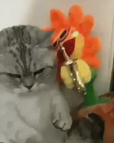 ubyWaX.gif