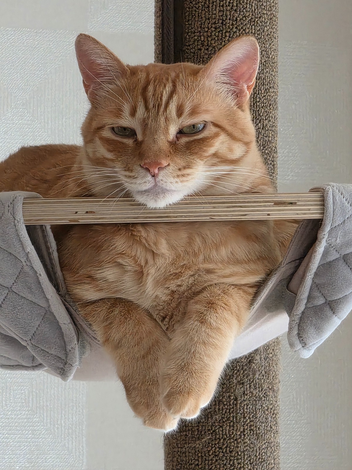 ufNeKh