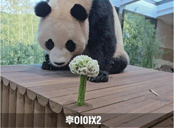 uhygKT.gif