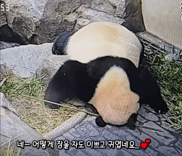 ujgTNn.gif