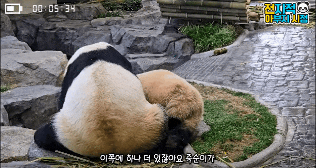 ulYDrm.gif