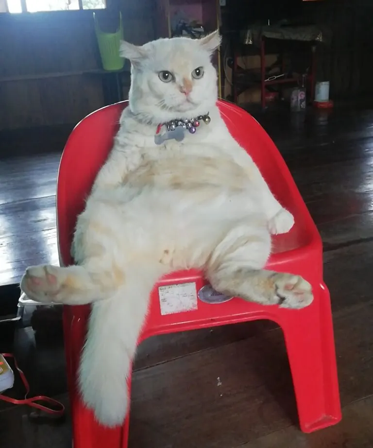 ulsjHG