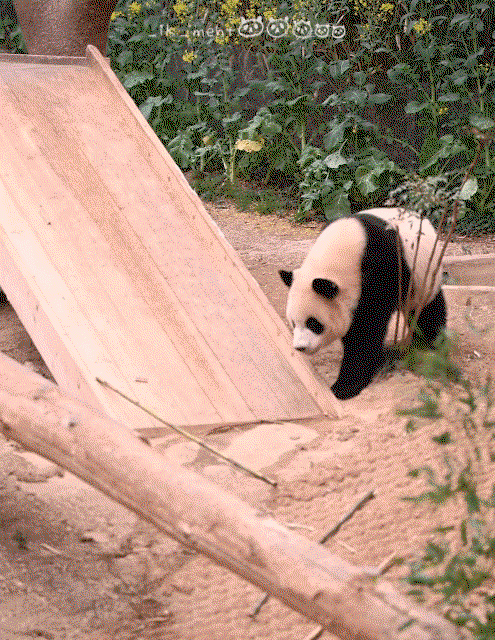 umLUcR.gif