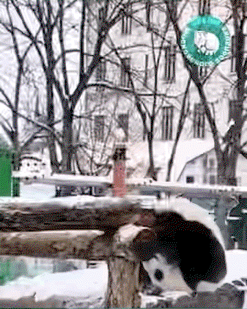 upfihU.gif