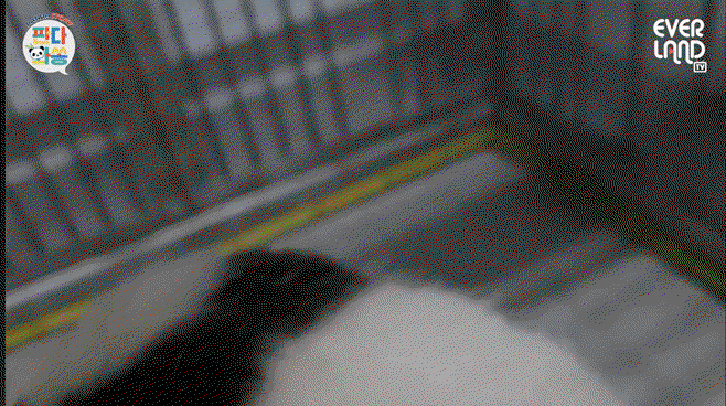 uposww.gif