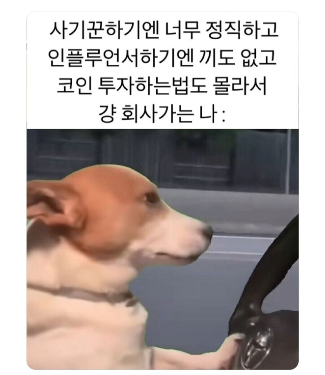 uqGMkQ
