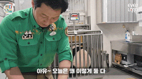 uqsOzq.gif