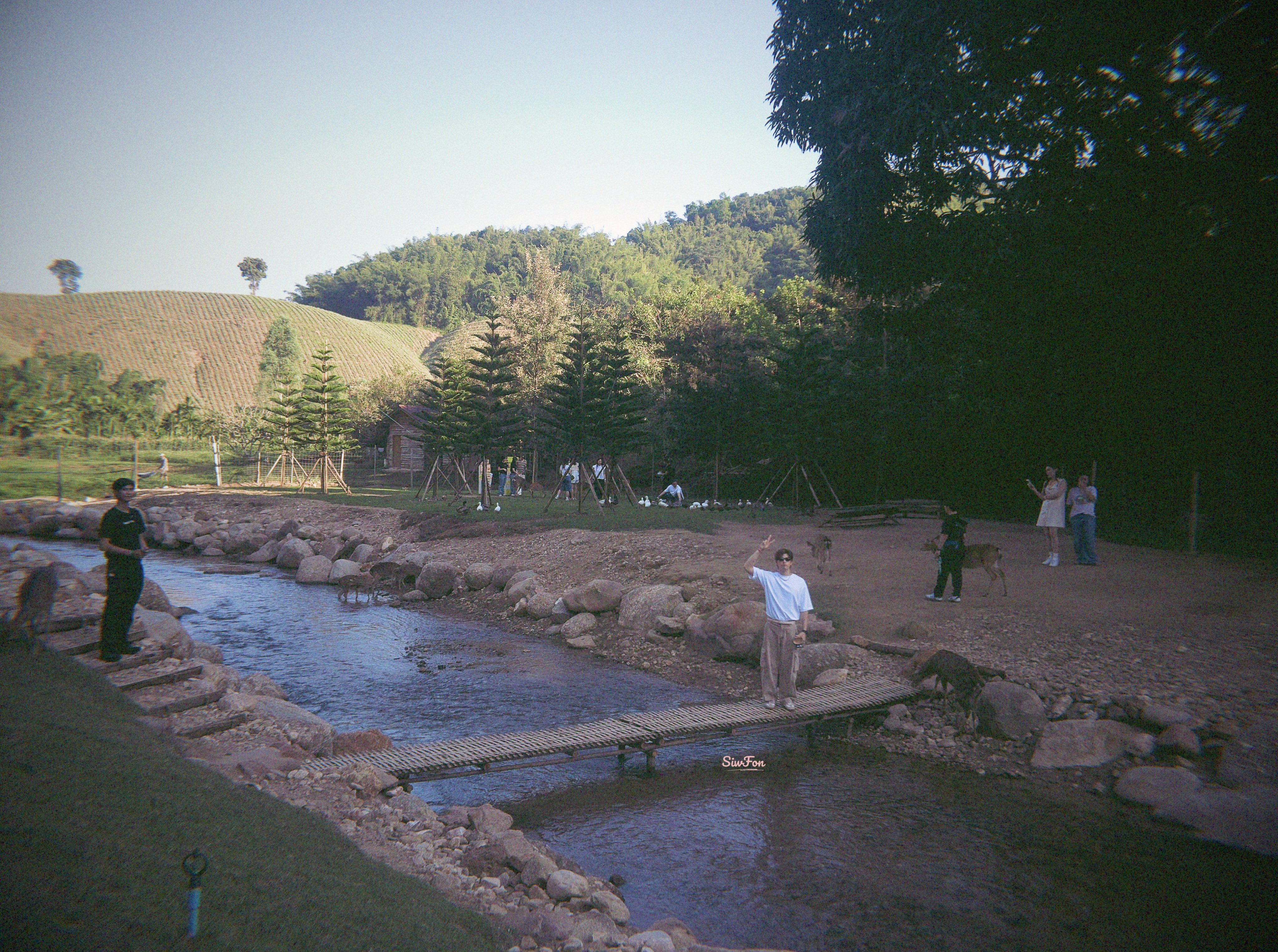 urMssO