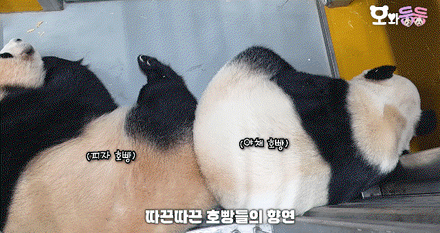 utQPLf.gif