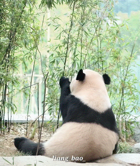 utaNCG.gif