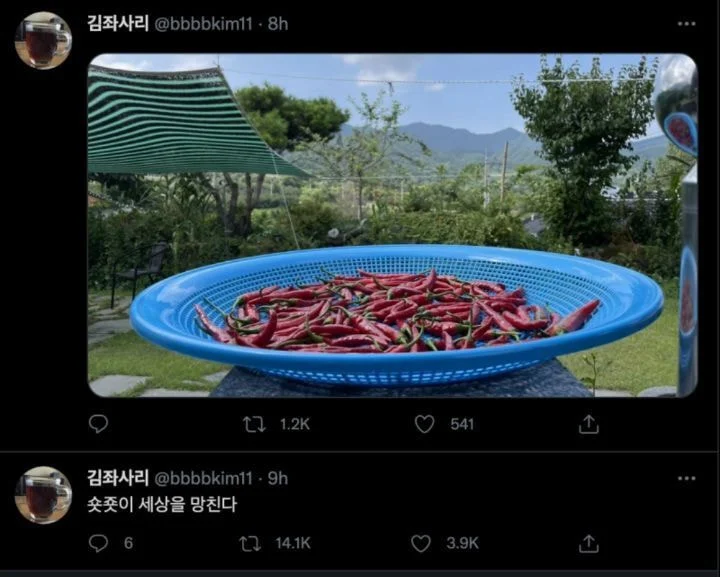 uyDLmM