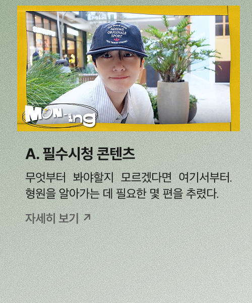 필수시청