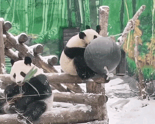 vBbTnQ.gif