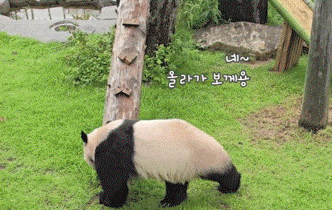 vBdlKW.gif
