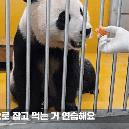 vCcfxN.gif