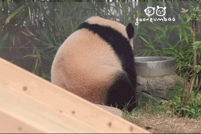 vCqbHJ.gif