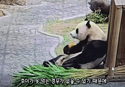 vHcnnG.gif