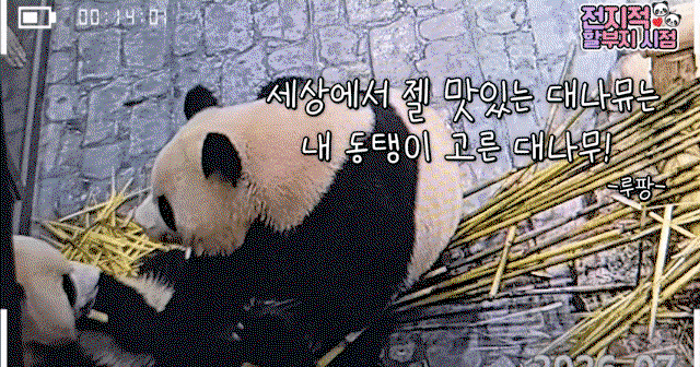 vIeDTR.gif