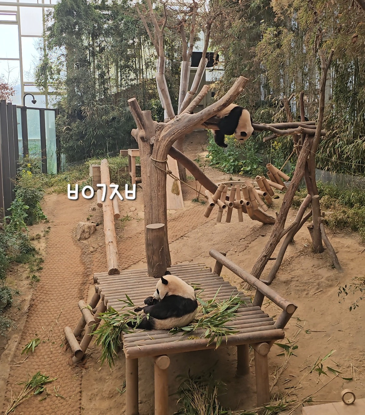 vJrAUW