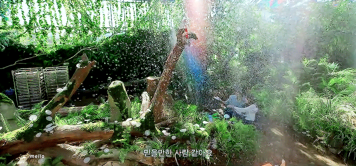 vJyDMl.gif
