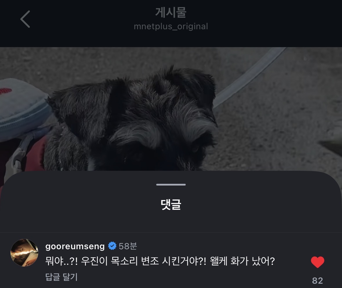vLCMKd