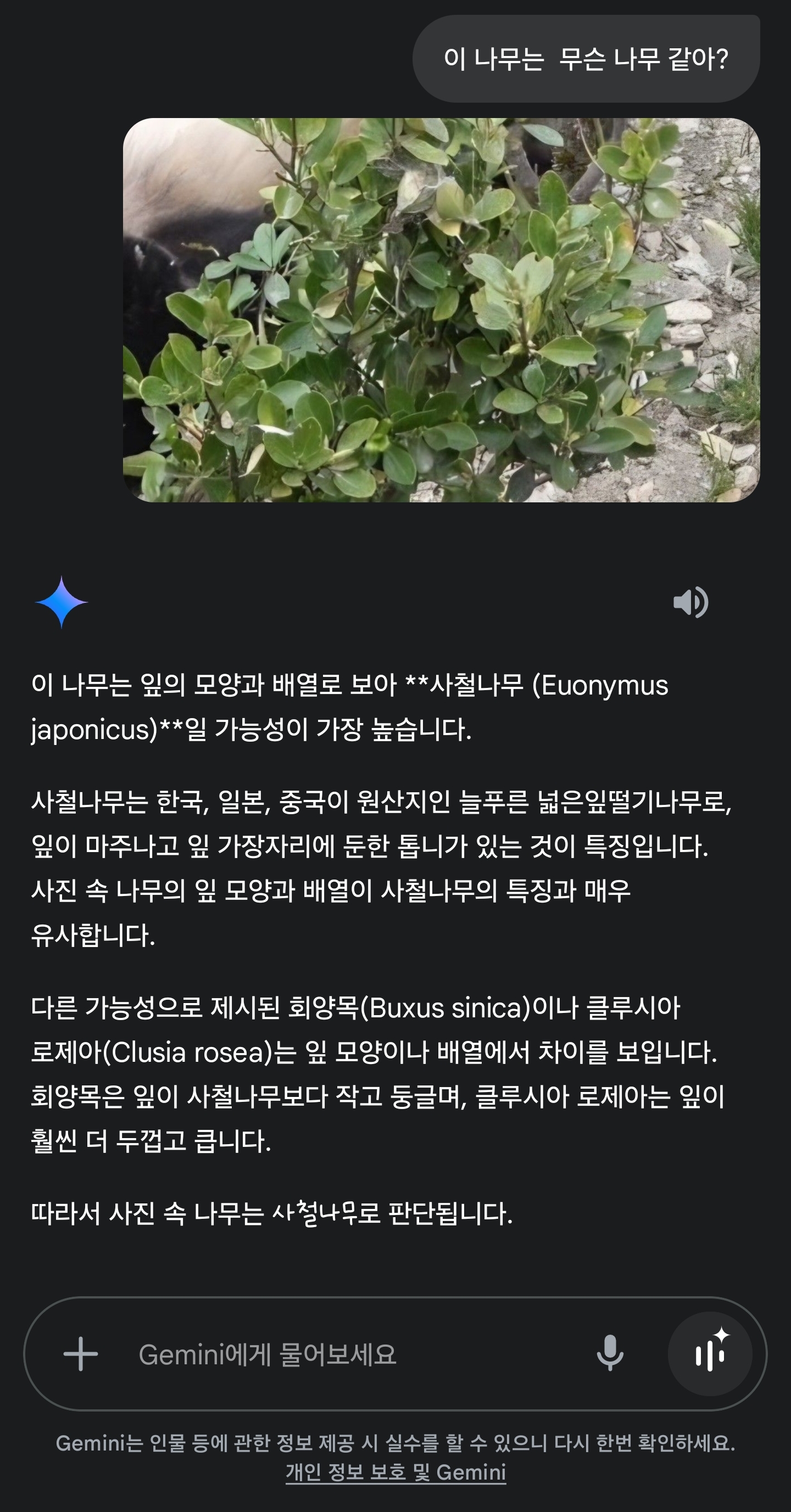 vLPJbZ